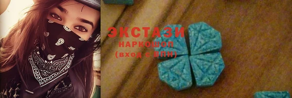 гидра Арсеньев