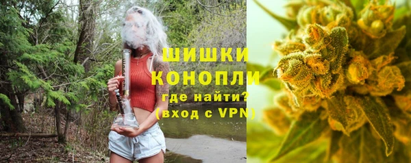 гидра Арсеньев